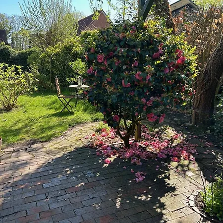 Ferienhaus Frerichs 15209 Leer (Ostfriesland)